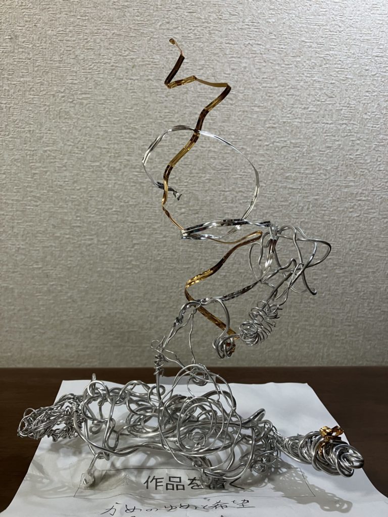 かめの夢と希望 かめの夢と希望