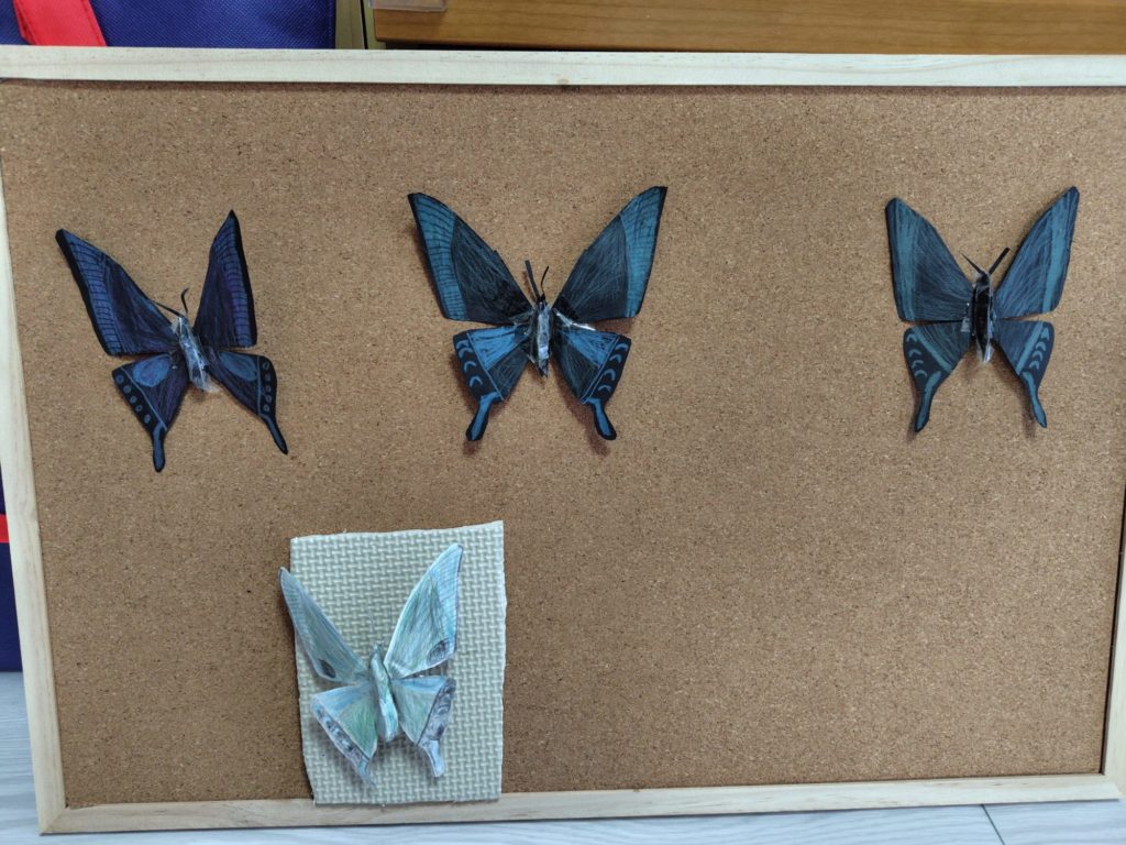 大好きな蝶を標本風に
