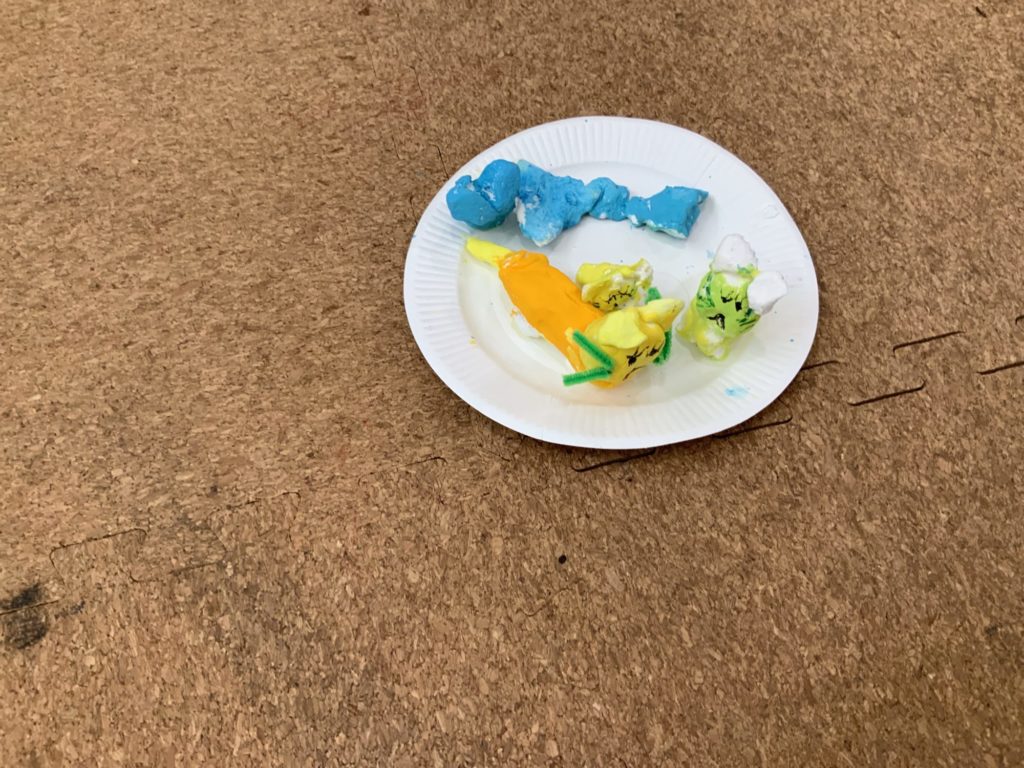 ねこちゃんのおうち