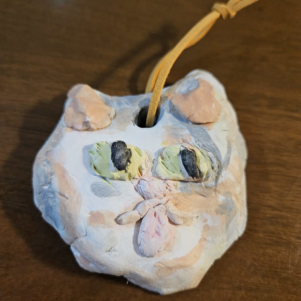 うちの猫とスターとペロペロキャンディ うちの猫とスターとペロペロキャンディ