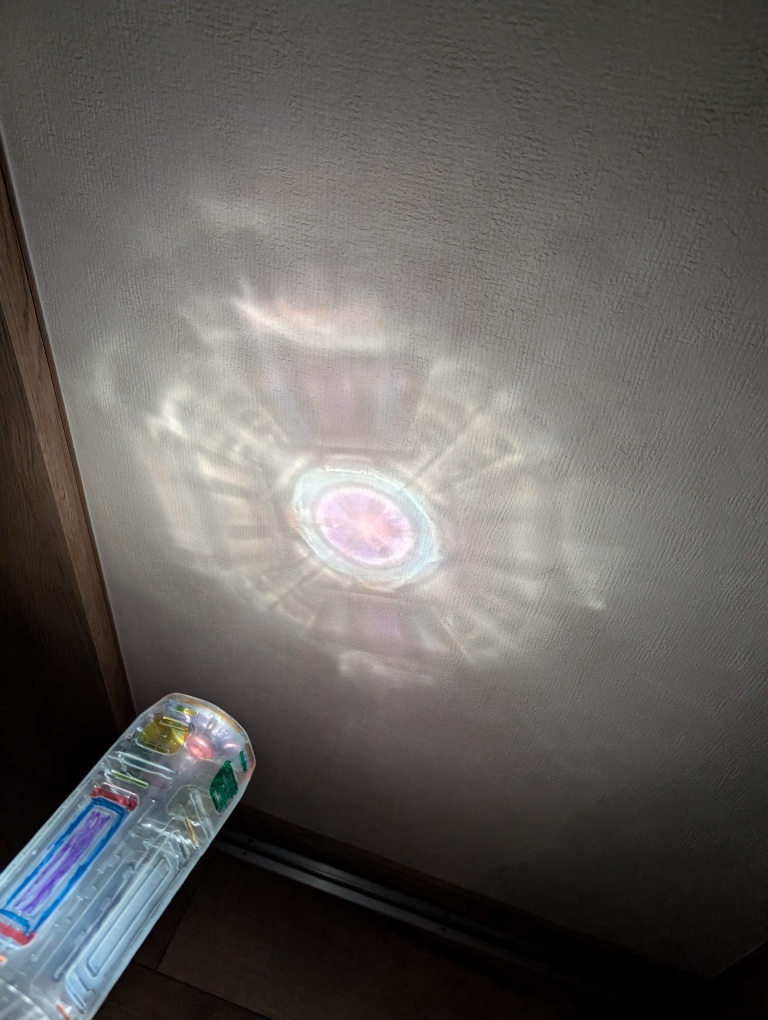 壁に咲く花 壁に咲く花