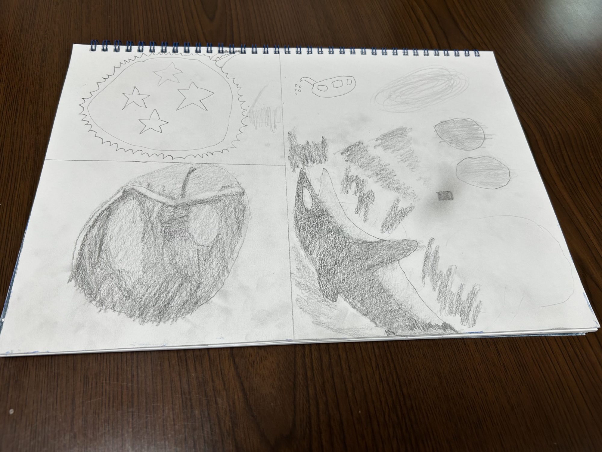 🌊シャチ🐬ざばーん!!🌊 🌊シャチ🐬ざばーん!!🌊